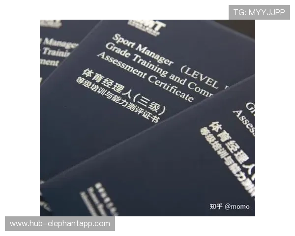体育官方合作伙伴助力品牌提升影响力实现多渠道宣传策略解析